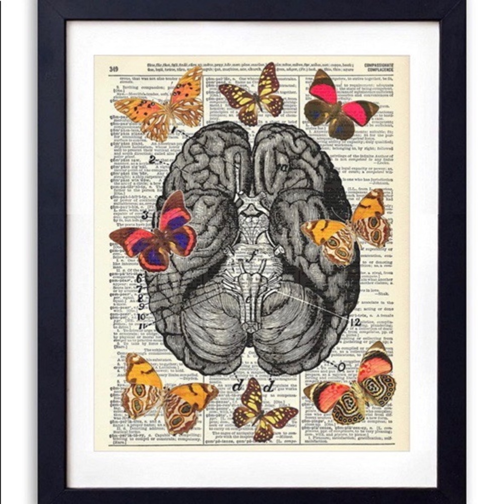 Anatomy of the Brain with Butterflies on Dictionary Paper